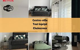 cosy moderne chaleureux équipé proche tram